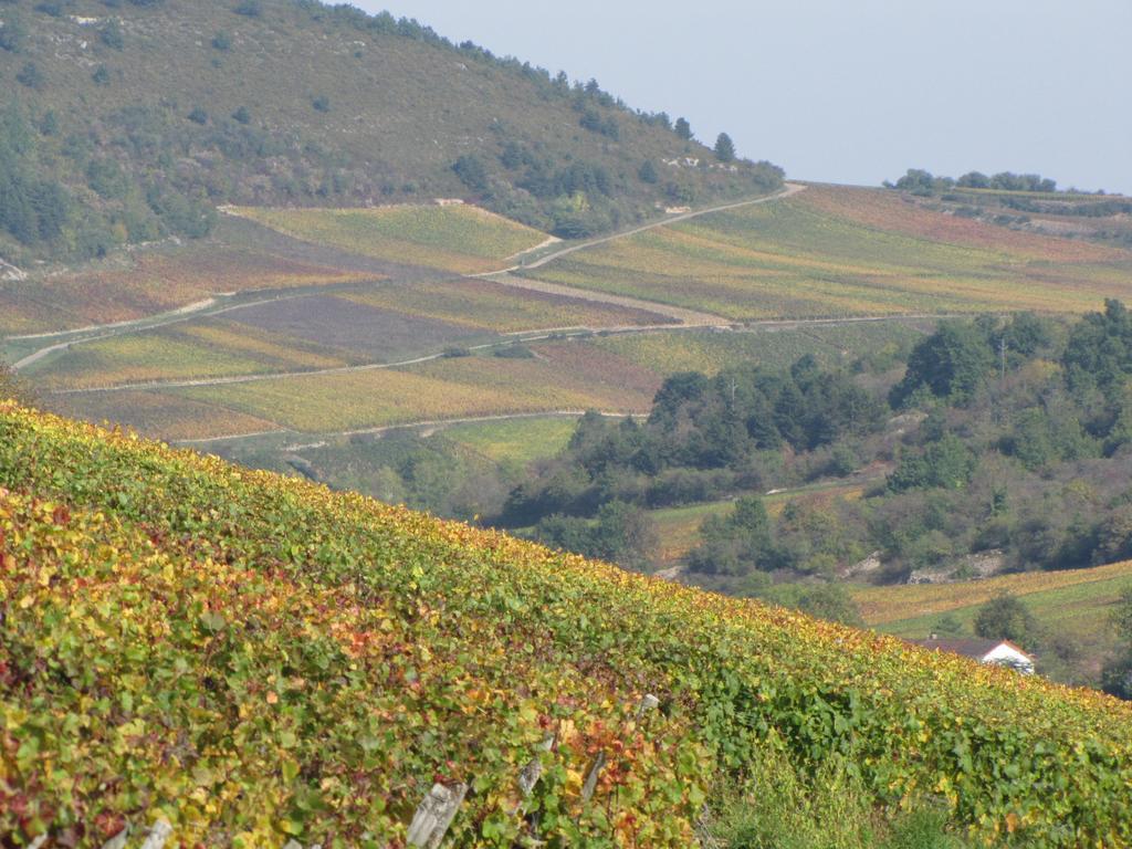 Hotel La Chouette Puligny-Montrachet Kültér fotó