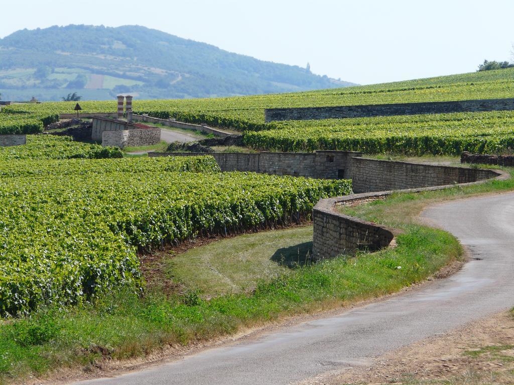 Hotel La Chouette Puligny-Montrachet Kültér fotó